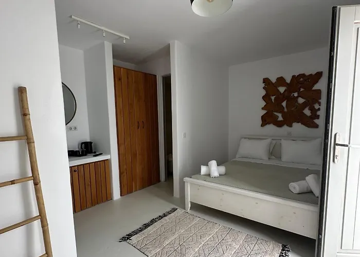 Trinity Mykonos - Beachfront 普拉迪斯亚罗斯