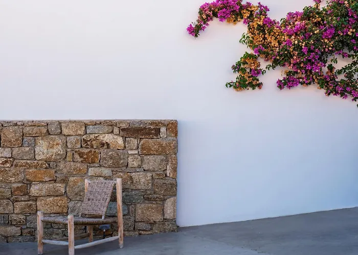 酒店 Trinity Mykonos - Beachfront 3*