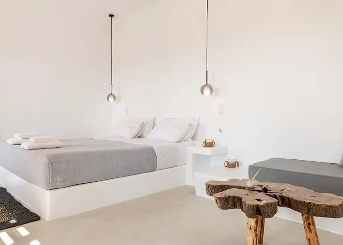 酒店 Trinity Mykonos - Beachfront 普拉迪斯亚罗斯