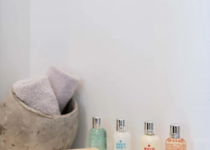 酒店 Trinity Mykonos - Beachfront 普拉迪斯亚罗斯